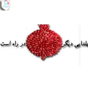 ویژه یلدا