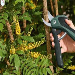 قیچی شارژی بوش مدل easy prune