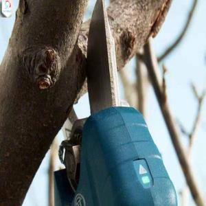 قیچی باغبانی شارژی بوش مدل pro pruner