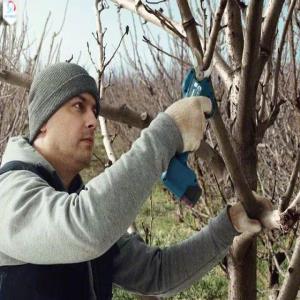 قیچی باغبانی شارژی بوش مدل pro pruner