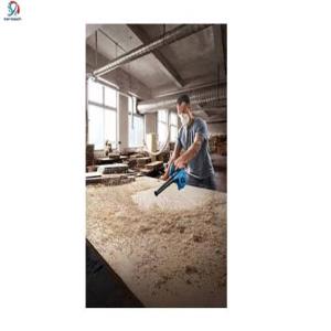 دمنده مکنده بوش مدل gbl 650